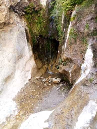 WhatsApp Image 2026-02-04 at 5.49.10 PM