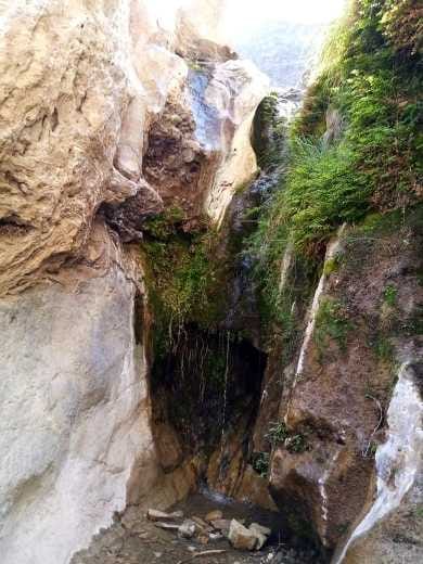 WhatsApp Image 2026-02-04 at 5.50.05 PM