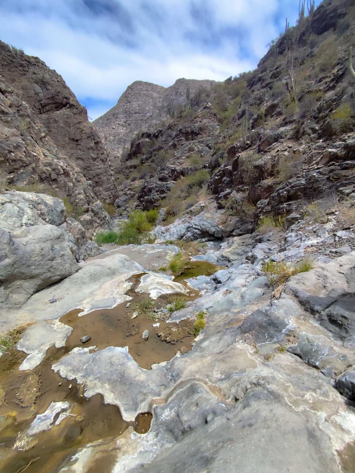 WhatsApp Image 2026-02-04 at 5.51.42 PM