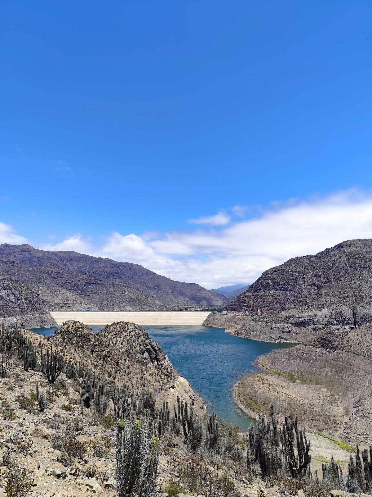 WhatsApp Image 2026-02-04 at 5.52.16 PM