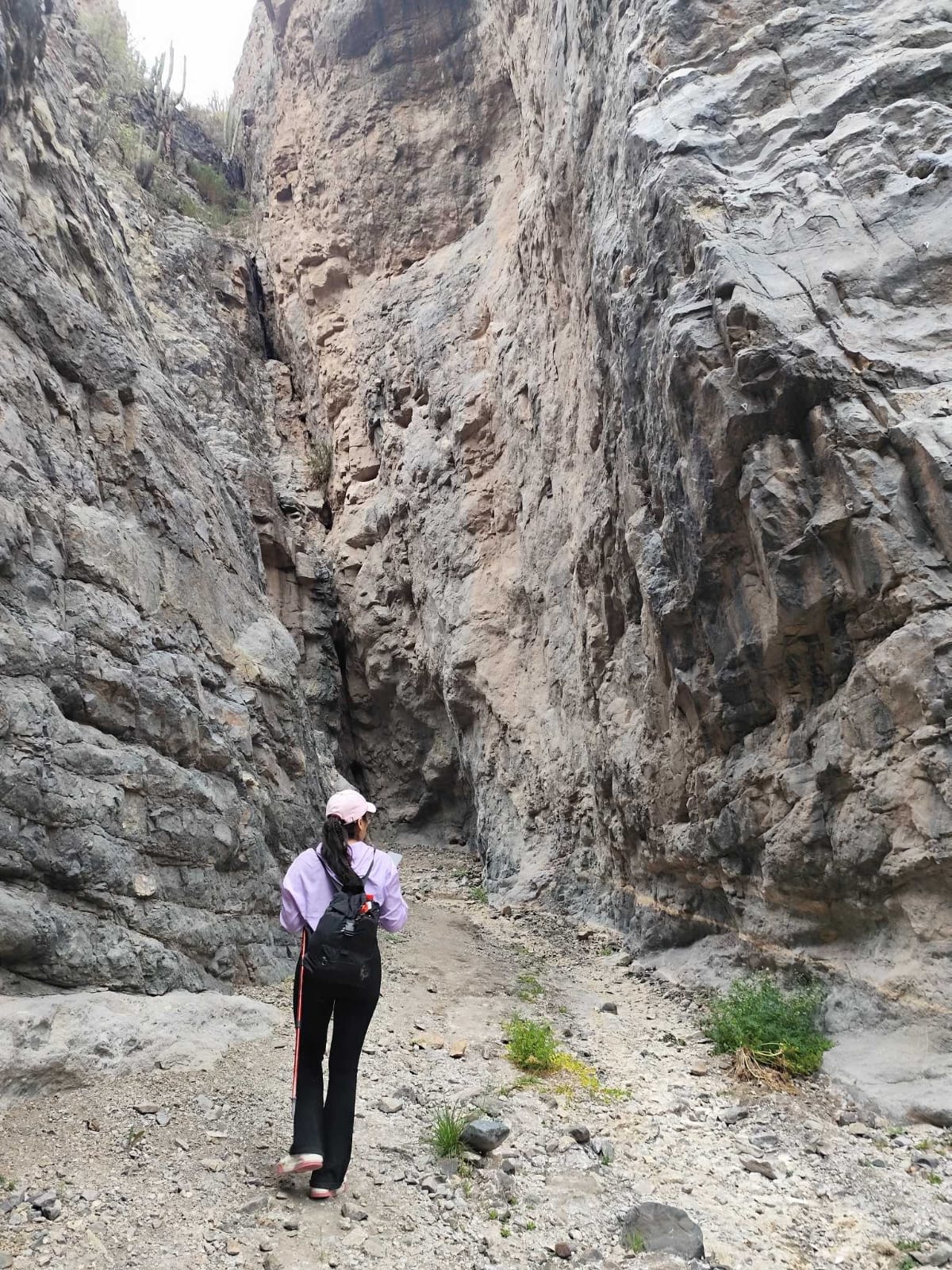 WhatsApp Image 2026-02-04 at 5.53.47 PM